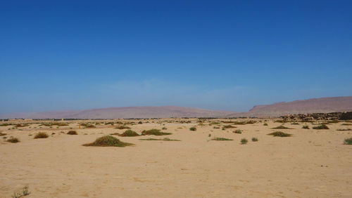 Scenic view of desert against clear blue sky