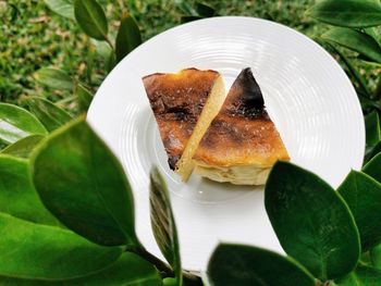 High angle view of food in plate