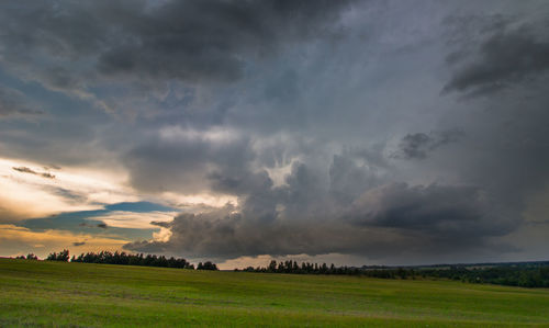 Scenic view of field against sky