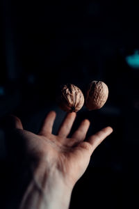 Close-up of hand holding nuts 