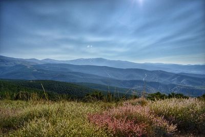 Landscape with mountain range in background