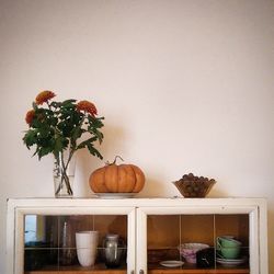 Potted plants on table