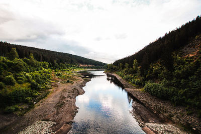 Scenic view of river amidst trees against sky