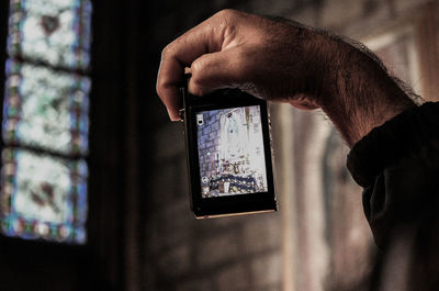 Close-up of cropped hand holding plant