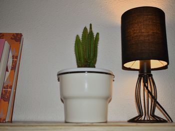 Close-up of potted plant on table at home