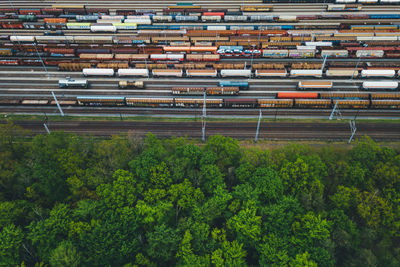 High angle view of plants