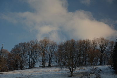 Bare trees on snow covered land against sky