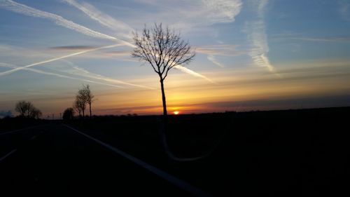 Silhouette trees on field against sky at sunset