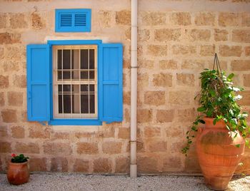 Potted plant against wall