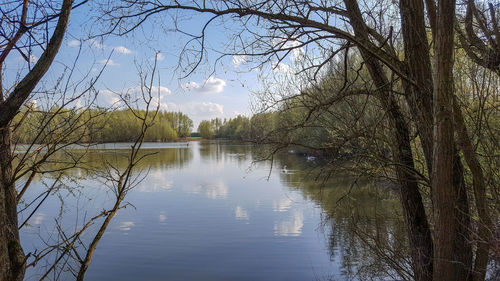 Scenic view of lake in forest against sky