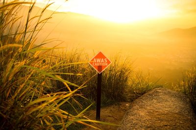 Road sign by plants against sky at sunset