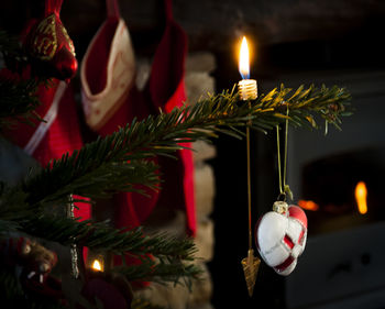 Close-up of illuminated christmas tree at night