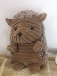 Close-up of stuffed toy