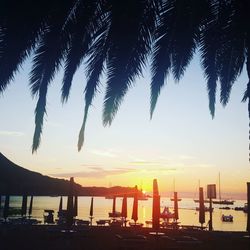 Silhouette palm trees by sea against sky at sunset