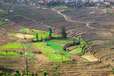 High angle view of agricultural field