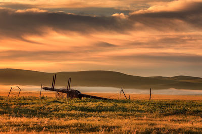 Scenic view of field against sky during sunset