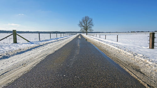 Dutch winter landscape in the countryside in the netherlands
