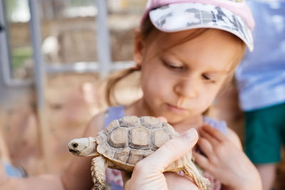 Child at the child at the zoo watching animals. girl near the turtle. toddler kid learning nature