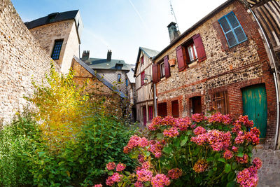 Houses amidst plants and buildings against sky