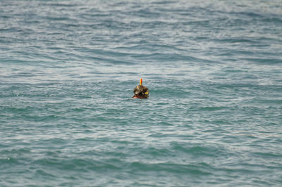 Woman swimming in sea