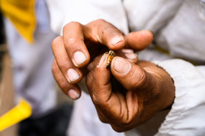 Bee queen on hand of beekeeper