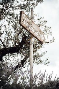 Low angle view of snow covered tree against sky