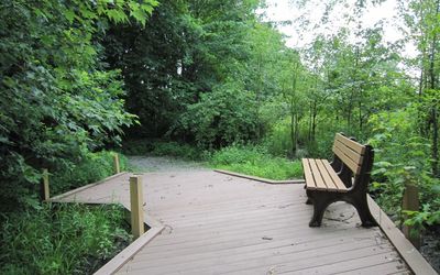 Empty bench in park