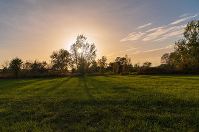 Scenic view of field against sky during sunset