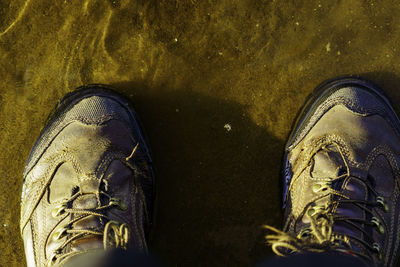Low section of man standing on hardwood floor