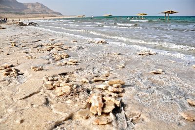 Scenic view of beach