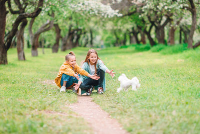 Rear view of woman with dog on grass