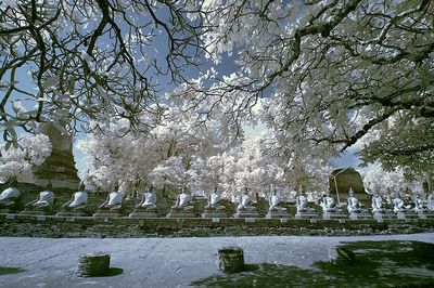 Building with trees in background