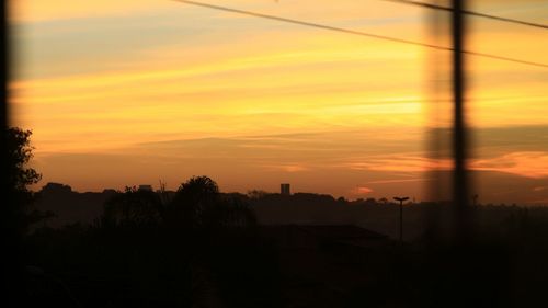 Silhouette of trees at sunset