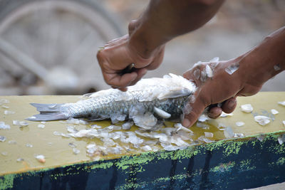 Cropped hands of man cutting fish at market