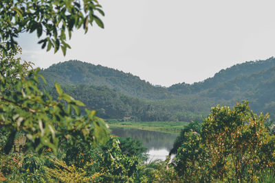 Scenic view of lake against clear sky