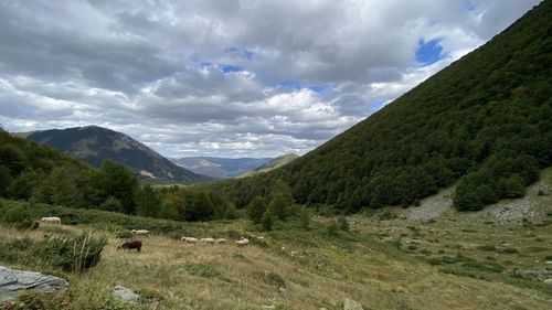 Scenic view of mountains against sky