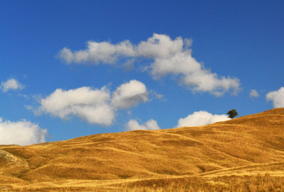 Scenic view of landscape against blue sky