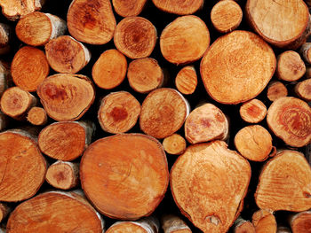 Full frame shot of logs in forest