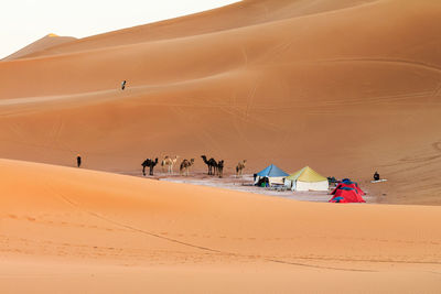 People and animals on desert against sky