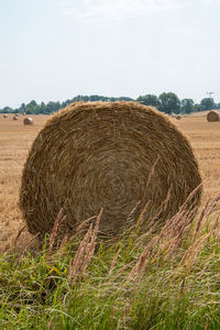 Hay bales on field against sky