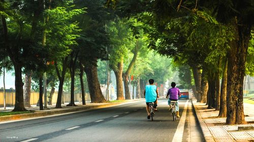 Rear view of two people riding bicycles on road