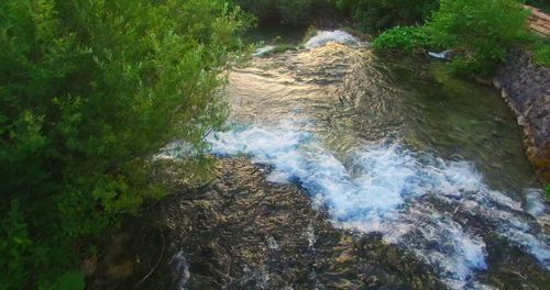 High angle view of waterfall in forest