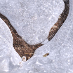 Close-up of frozen sea during winter