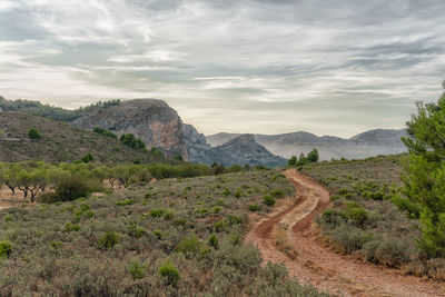 Scenic view of landscape against sky