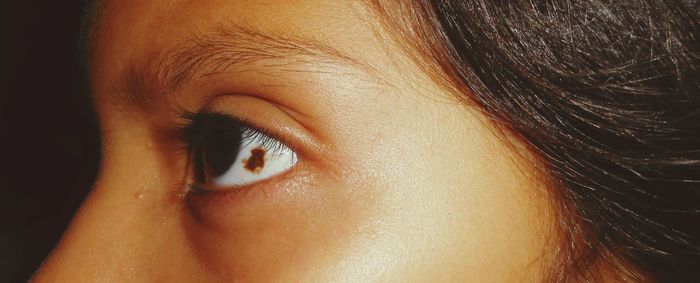 Cropped image of woman eye