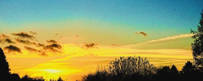 Low angle view of silhouette trees against sky during sunset