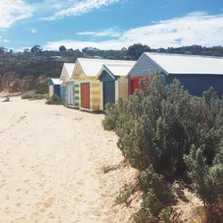 Plants against huts at beach on sunny day