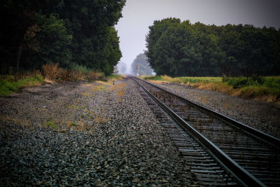 View of railroad tracks amidst trees