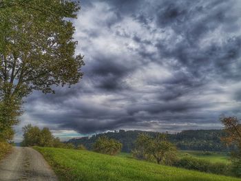 Road amidst field against sky
