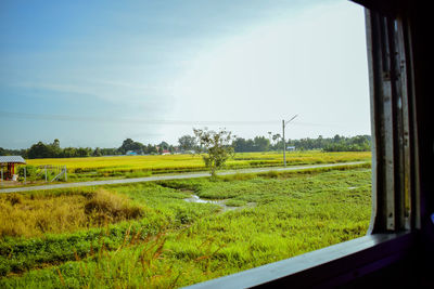 Scenic view of field against sky